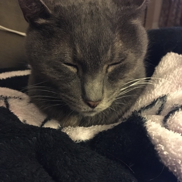 Meet your Posher, Beth - Picture 1 of 1